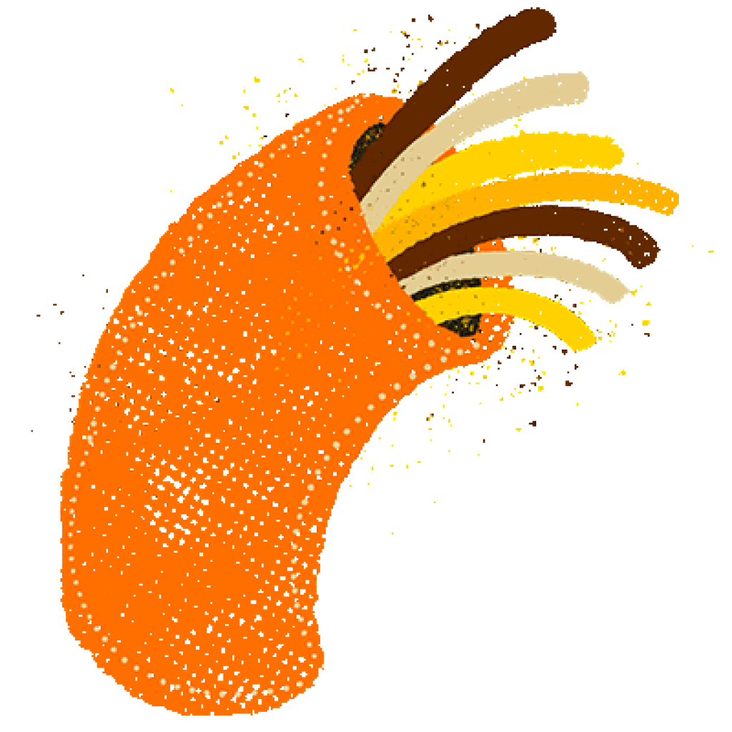 An orange, dotted with small white dots, has a brown and yellow striped opening, with yellow and brown lines extending outwards against a white background.