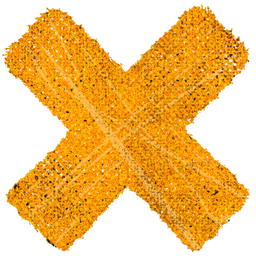 An orange, speckled, four-lobed shape with radiating lines on a white background.
